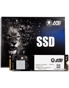 SSD AI198 256GB 256G66AI198 Agi