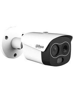 IP-камера тепловизионная DHI-TPC-BF1241-TB3F4-DW-S8 Dahua