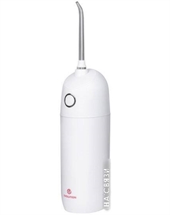 Ирригатор WF-01 Evolution