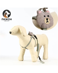 Комплект амуниции с игрушкой и круглым поводоком 120 х 1 см,ОШ 22-38 см, ОГ 22-38 см, зелёный Пижон