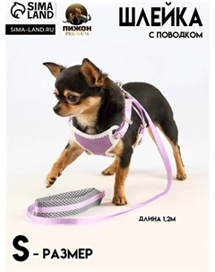 Комплект амуниции с мягкой шлейкой, S, поводок 120×1 см, ОШ 20-35 см, ОГ 20-35 см, сиреневый Пижон