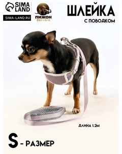 Комплект амуниции с мягкой шлейкой, M, поводок 120×1.5 см, ОШ 26-48 см, ОГ 26-48 см, серый Пижон