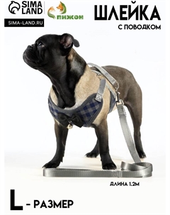 Комплект амуниции с мягкой шлейкой, L, поводок 120 х 1,5 см, ОШ 30-50 см, ОГ 36-56 см, серый  71191 Пижон