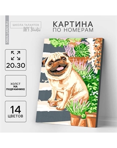 Картина по номерам на холсте с подрамником «Мопс» 20×30 см Школа талантов