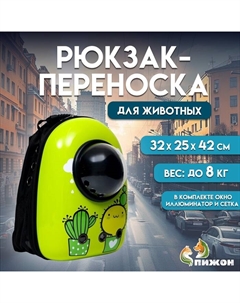 Рюкзак для переноски кошек и собак "Кактус", с окном, 32 х 25 х 42 см Пижон