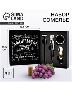 Подарочный винный набор: штопор для вина, аэратор, каплеуловитель, термометр «Набор» Дорого внимание