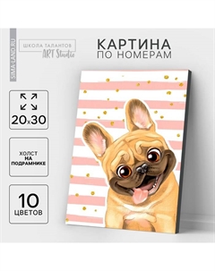 Картина по номерам на холсте с подрамником «Мопс», 20х30 см Школа талантов
