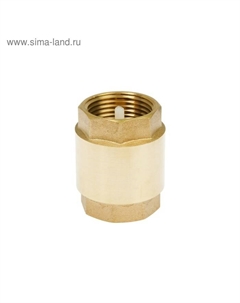 Клапан обратный «СТМ», 1" Stm