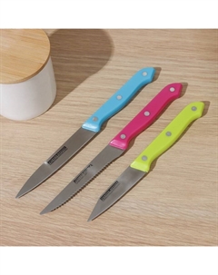 Набор кухонных ножей «Кулинарные изыски», 3 предмета, лезвие 19 см, 22 см, 23 см, цвет МИКС Доляна