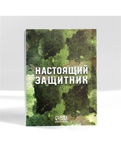 Подарочный набор: ежедневник А6, блок с липким слоем, ручка «23 февраля: Настоящий герой» Artfox
