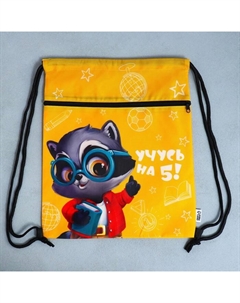 Мешок для обуви «Учусь на 5!» (с карманом) 41×31 см Artfox study