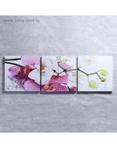 Часы настенные, модульные, серия: Цветы, "Орхидеи", 35х110 см Сюжет