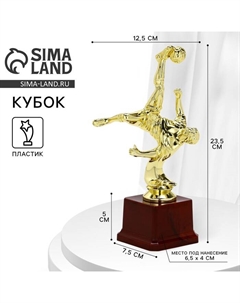 Наградная фигура кубок «Футболист», A, золото, подставка пластик, 23.5 см Сима-ленд