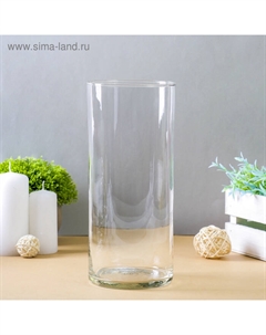 Ваза «Трубка 107», 25×11 см, стекло, прозрачная Evis