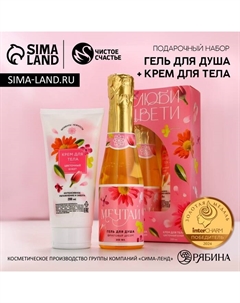 Подарочный набор «Мечтай!», гель для душа шампанское 250 мл и крем для тела 200 мл Чистое счастье