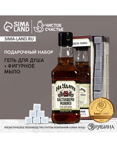 Подарочный набор «На удачу», гель для душа виски 250 мл и мыло для рук Чистое счастье