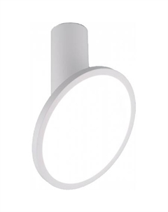 Спот DLS029 12W 4200K (белый матовый) Elektrostandard