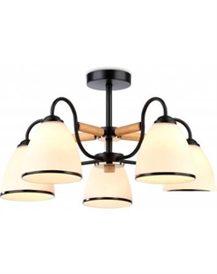 Люстра средней высоты TR TR3033245 Ambrella light