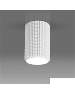 Точечный светильник DLN112 GU10 Elektrostandard