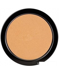 Компактная пудра Illuminating Covering Powder 2С натуральный (9 г) Paese