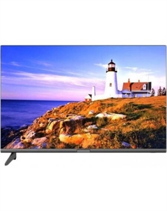 Витязь 24LH1204