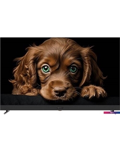 Телевизор Topdevice 55" QLED DQ08