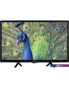 Телевизор Skyline 24YST5970