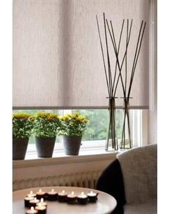 Рулонная штора Delfa Сантайм Натур СРШ-03Д 2281