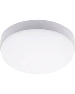 Светильник ЖКХ Ambrella Street ST8631 WH