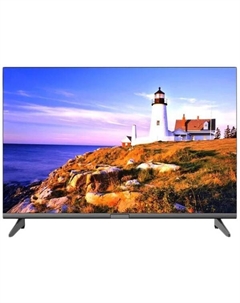 Витязь 24LH1204