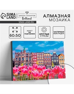 Алмазная мозаика с частичным заполнением на подрамнике «Дома с тюльпанами», 50×60 см Школа талантов