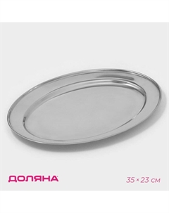Поднос овальный из нержавеющей стали, 35×23 см, цвет серебряный Доляна