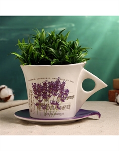 Горшок для цветов «Вильда», 800 мл, 16×12×11 см, керамика, с поддоном, белый, фиолетовый Take it easy