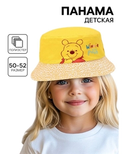 Панама детская, размер 50-52 Disney