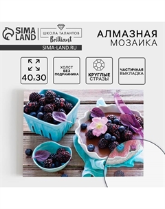 Алмазная мозаика круглыми стразами с частичным заполнением «Ягоды», 30 х 40 см. Набор для творчества Школа талантов