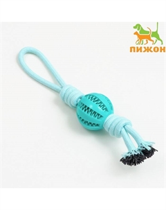 Игрушка канатная плетёная с мячом, до 35 см, до 115 г, мятная Пижон