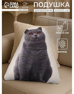 Подушка «» Scottish cat, 40×33 см, 100% п/э, велюр Этель