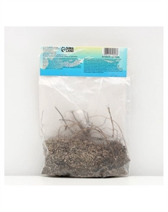 Флокс "Роза Пастелла" р-р I, 2 шт, Весна 2025 Сады дедушки никиты