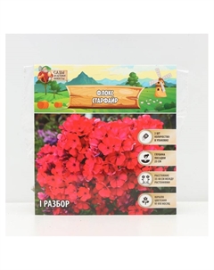 Флокс «Старфайр» корневище в пакете с торфогрунтом, р-р I, 2 шт. Сады дедушки никиты