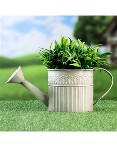 Кашпо «Лейка», 27×12×11 см Take it easy