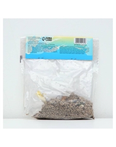 Лилия Азиатская Кашпо Happy Ice, рлуковица в пакете с перфорацией, -р 12/14, 2 шт. Сады дедушки никиты