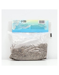 Лилия Азиатская Кашпо Trendy Santiago, луковица в пакете с перфорацией, р-р 12/14, 2 шт. Сады дедушки никиты