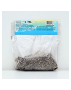 Лилия Азиатская Кашпо Trendy Havanna, луковица в пакете с перфорацией, р-р 12/14, 2 шт. Сады дедушки никиты