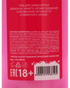 Новогодний подарочный набор косметики «Для офигенной девчонки», гель для душа и шампунь для волос, 2×250 мл, 18+ Чистое счастье