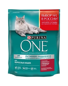 Сухой корм ONE для кошек, говядина с цельными злаками, 750 г Purina