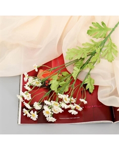 Цветы искусственные «Матрикария», h=40 см, d=2 см, белые Poetry in flowers