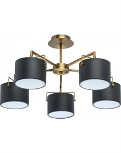 Припотолочная люстра Сайрус 721010205 Mw light