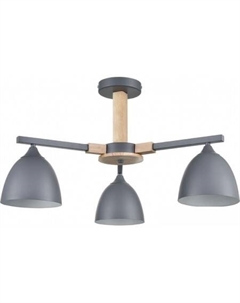 Люстра средней высоты Moderni Colange 8096/3C Lumion