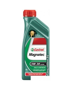 Моторное масло Magnatec 5W-30 A3/B4 1л Castrol