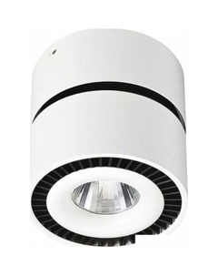 Спот Круз 18 637016701 De markt